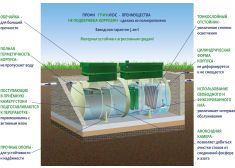 ГРИНЛОС Профи 25